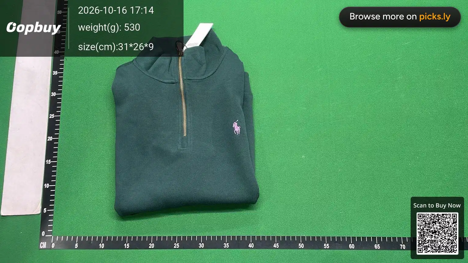 R Embroidered Little Horse Logo Flip Collar Long Sleeve Hoodie Men's Polo Shirt Couple Hoodie Women's Half Zipper Loose American Style QC photo 4