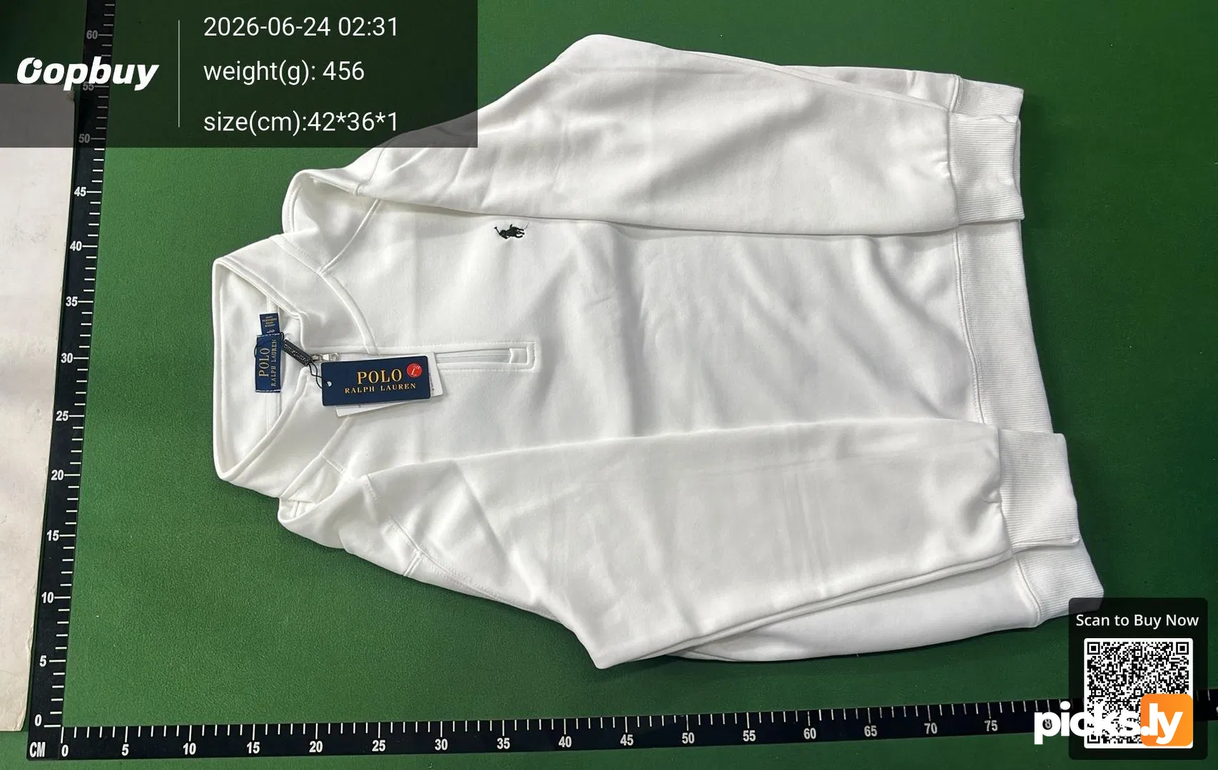 Ralph Lauren jacket, ponytail logo, half zipper pullover, stand up collar, long sleeved sweatshirt, cross-border jacket, men's style, autumn thick version QC photo 2