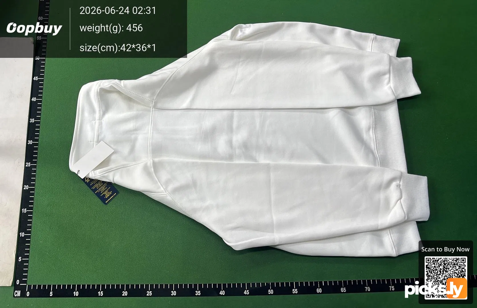 Ralph Lauren jacket, ponytail logo, half zipper pullover, stand up collar, long sleeved sweatshirt, cross-border jacket, men's style, autumn thick version QC photo 3