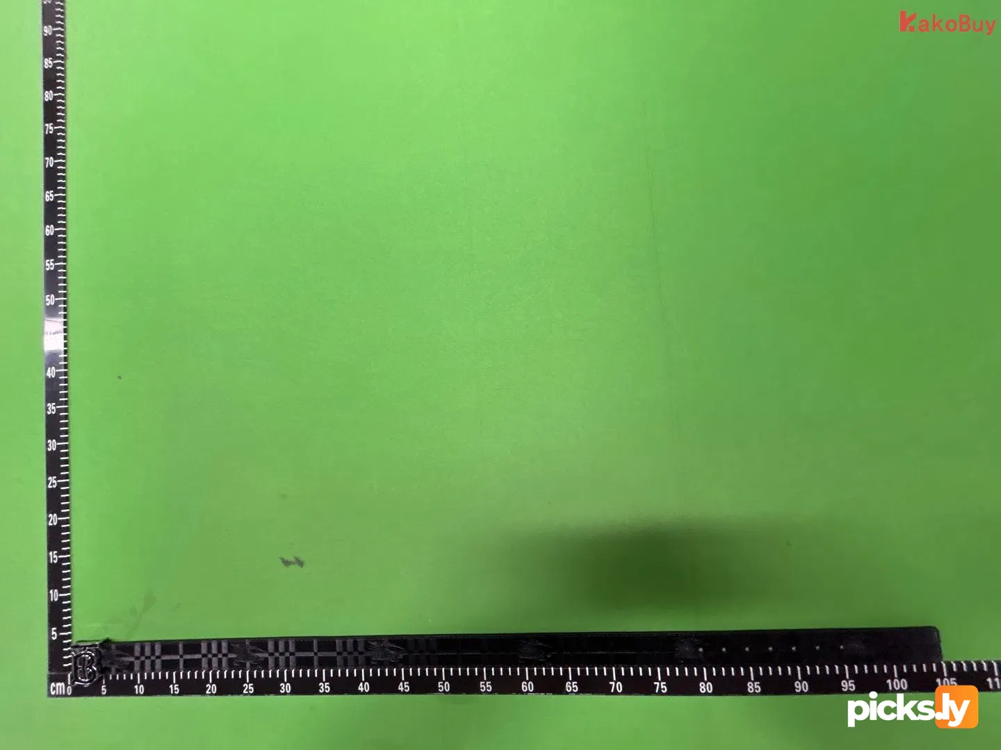 Belt QC photo 1