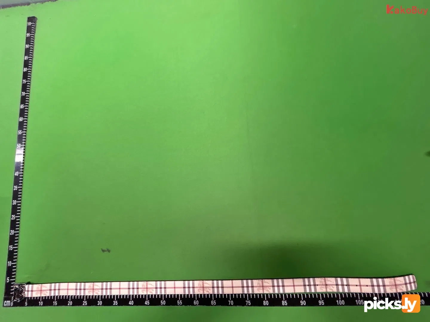 Belt QC photo 1