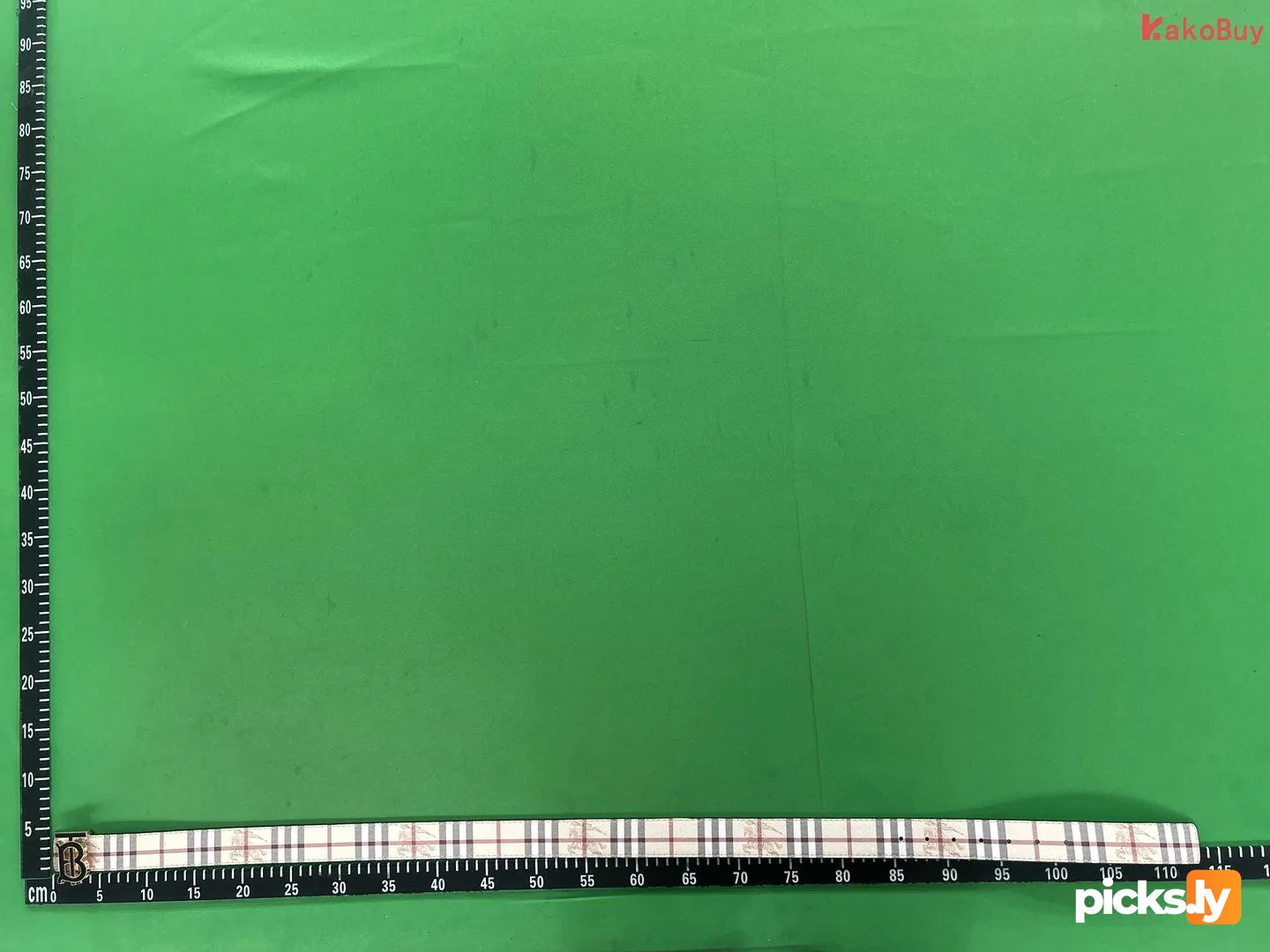 Belt QC photo 1