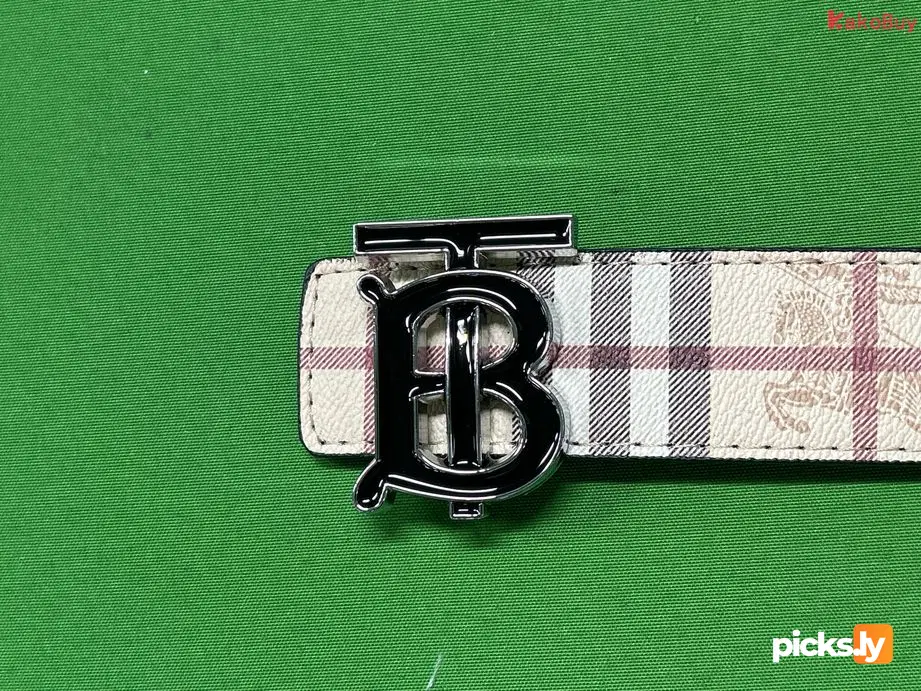 Belt QC photo 2