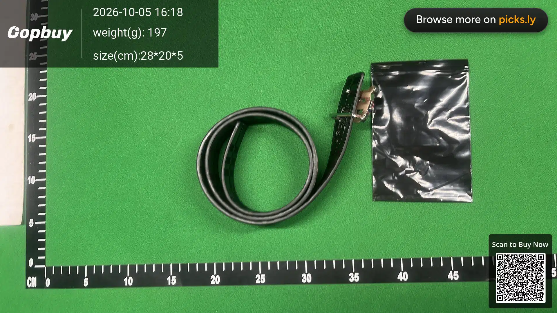 Belt QC photo 3