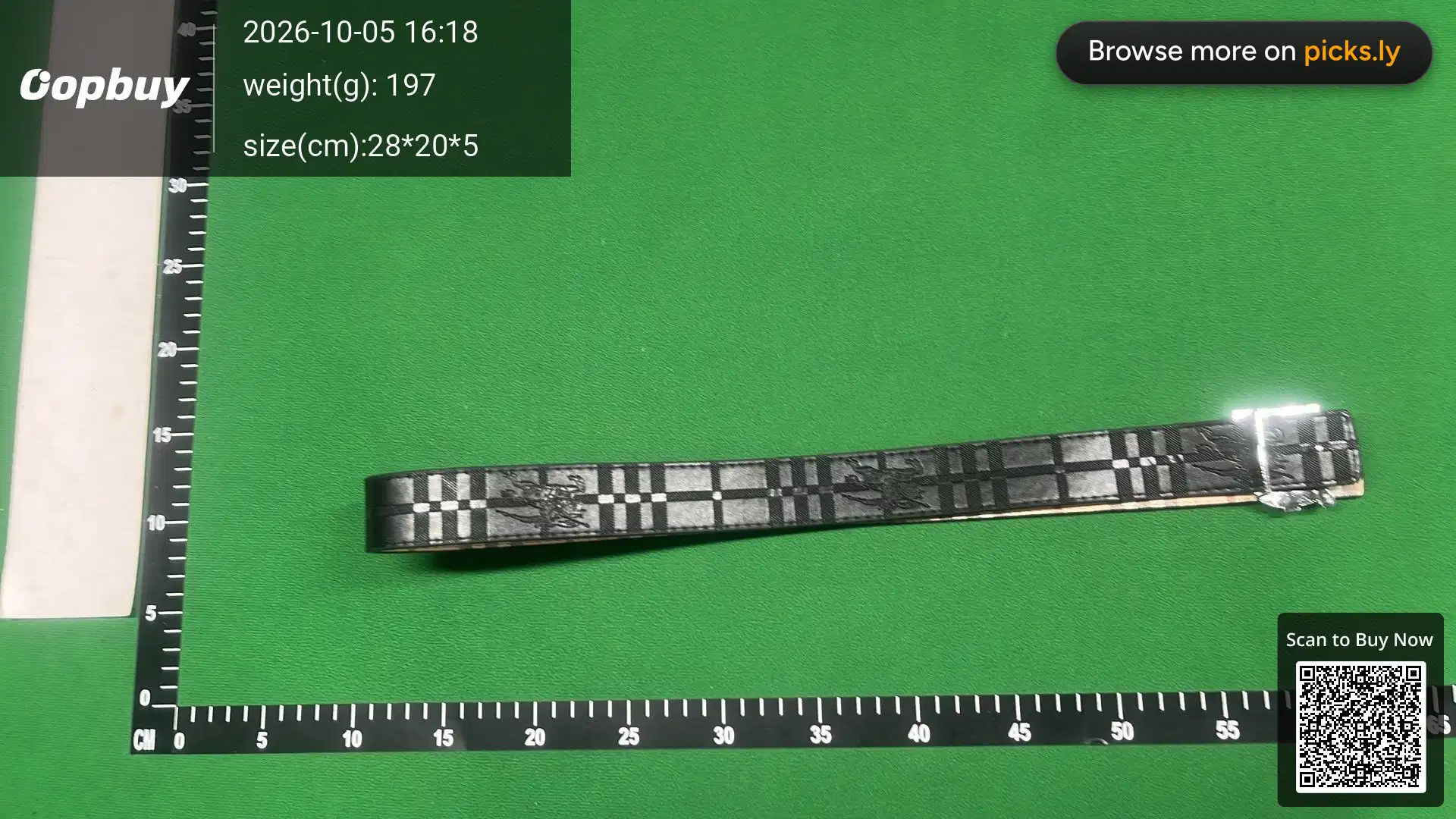 Belt QC photo 2