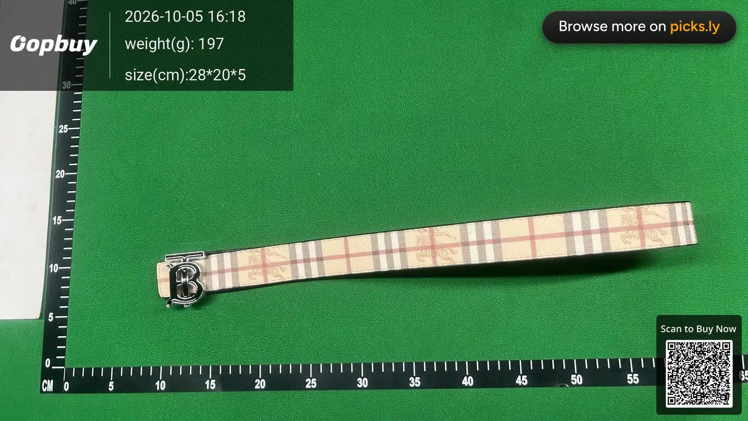 Belt QC photo 1